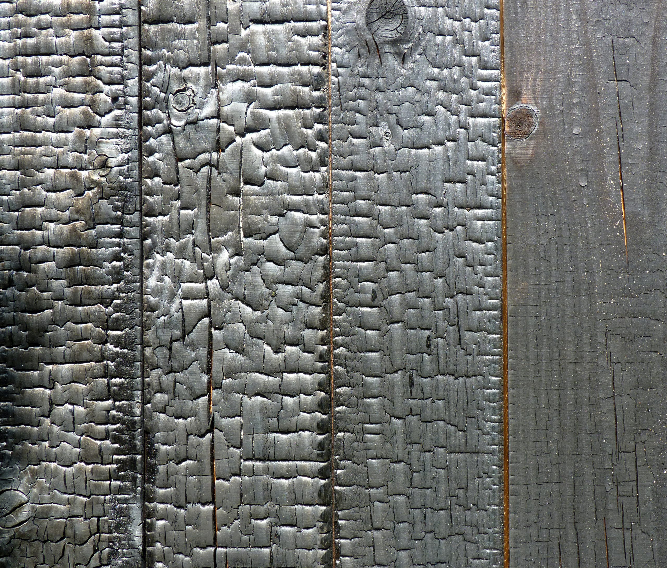 Detail of yakisugi charred timber cladding showing natural grain texture and burnt surface, used in sustainable architecture by CAS Studio.