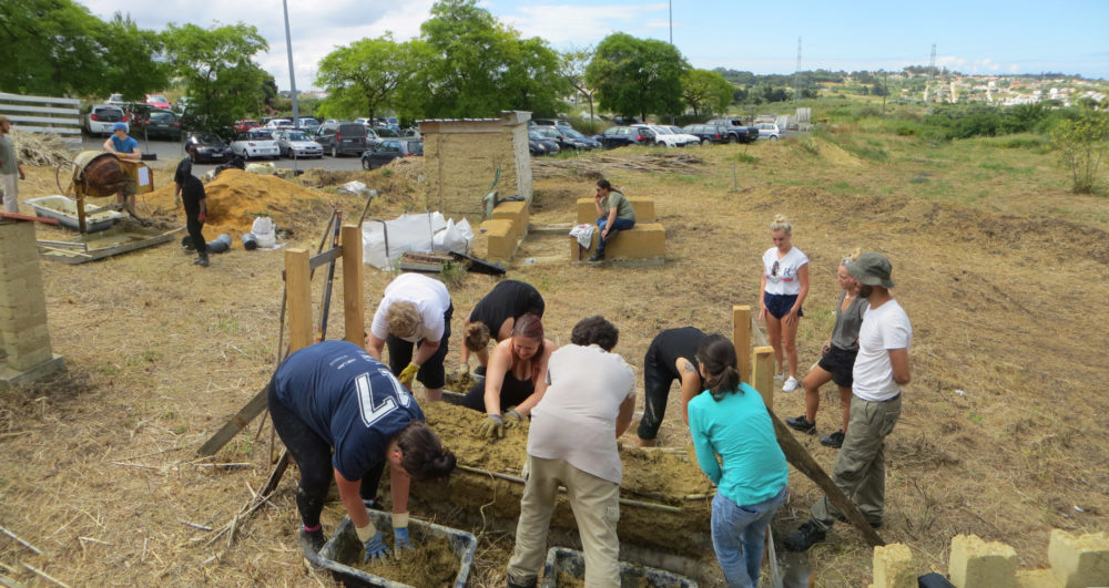 reedcob summer workshop