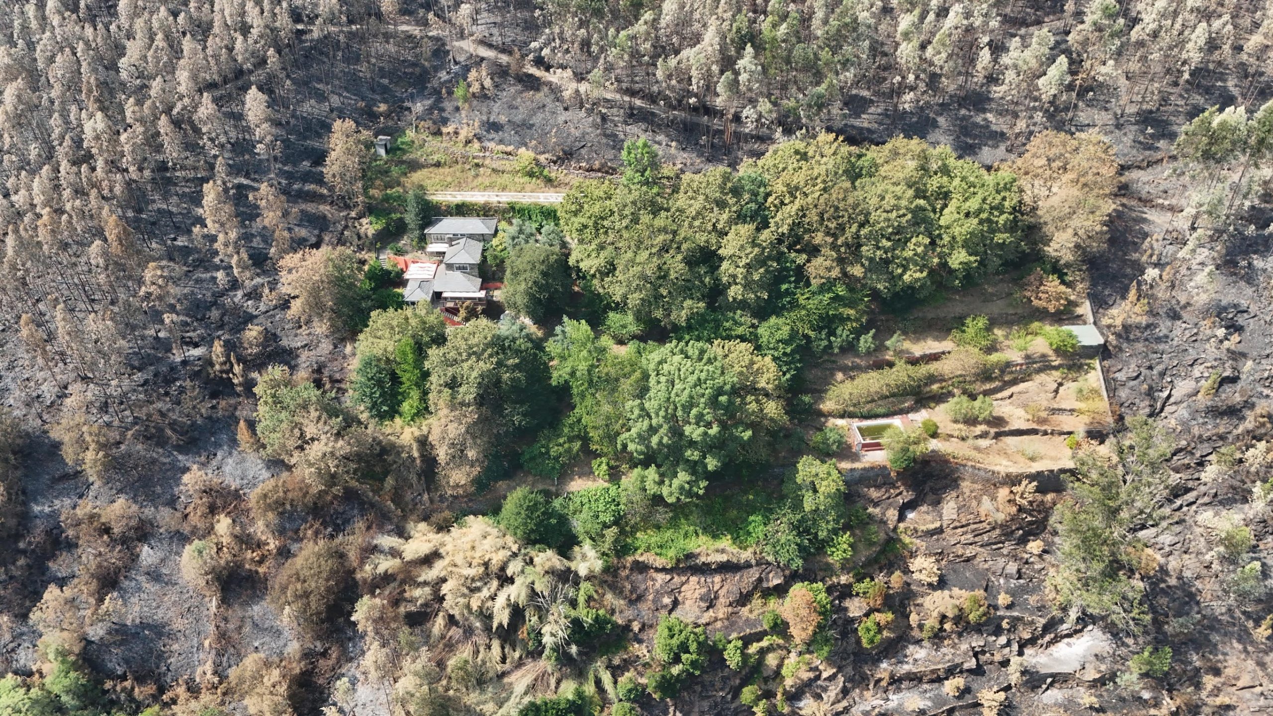 Climate-resilient house in Portugal surrounded by green landscape after wildfires, showing sustainable design with earth, cork, and wood.